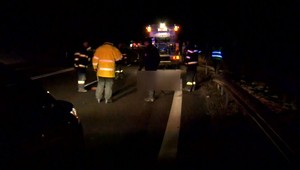 Neuveriteľný manéver vodičky po náraze. Jeleň ale nehodu neprežil