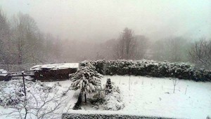 Vietor, sneh aj mráz! Slovensko trápi počasie