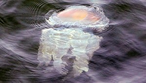 V obľúbenej destinácii sa objavili nebezpečné tvory. Ich dotyk môže zabíjať