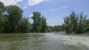 Slovenské rieky si vyžiadali v priebehu pár hodín už štyri životy. Ako predísť tragédii?