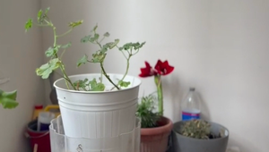 Oheň pod lupou: Preplnené chodby v panelákoch môžu stáť život. Čo nesmie byť na únikovej ceste?