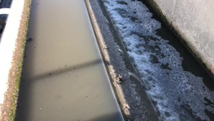 Prítomnosť koronavírusu v odpadových vodách zisťujú každý týždeň. Doposiaľ ho potvrdili vo viac ako 85% prípadoch