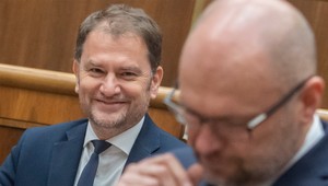 SaS opäť mení svoj postoj: Je ochotná podporiť aj júnový termín predčasných volieb