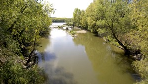 V ramene Dunaja našli mŕtvolu mladého muža