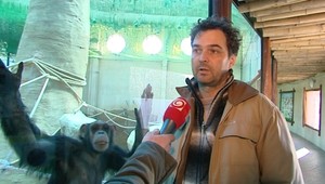 Opice sa dobíjali k jojkárskemu mikrofónu