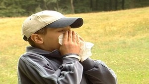 Krutá predpoveď odborníka: Pred alergiou neutečiete!