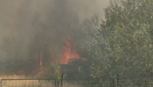 V súvislosti s požiarmi v Bratislave začala polícia trestné stíhanie. Zisťovateľ príčin požiarov cudzie zavinenie nevylúčil