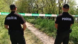 Tínedžerka (14) v akcii. Za tri dni vykradla 3 domy