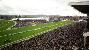 Najlepšie dostihové kone zarábajú viac ako futbalové hviezdy