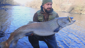 Poznáte sen každého rybára? V slovenských vodách hľadajú kráľovnú