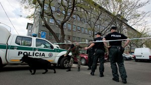 Starenku (†81) na priechode zrazil luxusný jaguár!