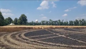 Obrovský požiar v Bratislave je uhasený: Plamene len tesne obišli Mohylu