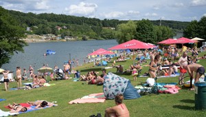 Sladkovodné medúzy aj zhoršená kvalita vody: Odborníci analyzovali kvalitu kúpalísk