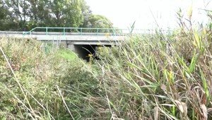 V poli objavili lebku dieťaťa. Pred pár mesiacmi tam hľadali dvojročného nezvestného chlapca