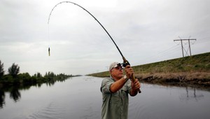 Udica v elektrickom vedení. 3 mŕtvi, 4 ťažko zranení!
