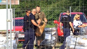 Mestskí policajti zachraňovali srncov, uviazli na oplotenom parkovisku