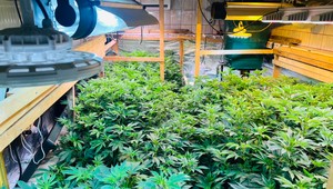 Kriminalisti odhalili marihuanové laboratórium. Počas akcie Kvetinár zadržali a obvinili dve osoby