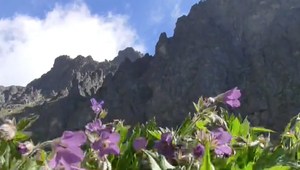 VIDEO: Horúčavy likvidujú v Tatrách zvyšky snehu