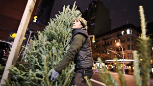 Kuriózne poistné udalosti... Lietali stromčeky aj trampolína!