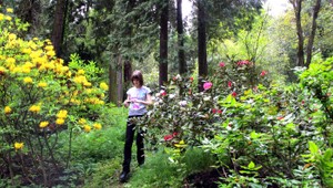 Neskutočná krása? 120 ročné arborétum Mlyňany