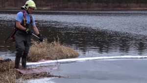 Rybári objavili fialový potok, obávali sa, že ide o ropnú škvrnu