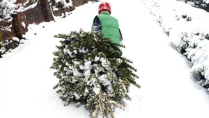 Predpoveď počasia. Takto vidí Vianoce meteorologička