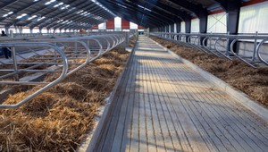 Agrošmejdi na slovenských družstvách