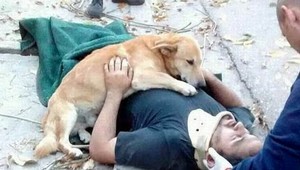 Pes ani na sekundu neopustil svojho ťažko zraneného pána