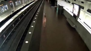 Prekvapenie vo veľkomeste. Srnka si to namierila na stanicu metra