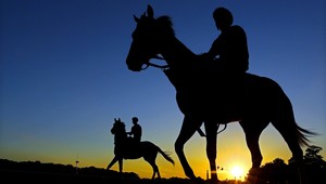 Kôň sa dostal do kolízie s vlakom, už dva dni leží pri ceste