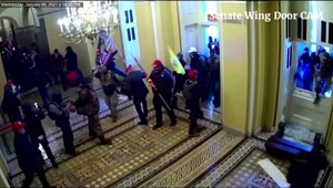 Útok na Kapitol bol vyvrcholením pokusu o prevrat, povedal šéf vyšetrovacieho výboru