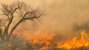 Lesné požiare si vyžiadali evakuácie i odstavenie jadrového závodu