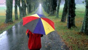 Príjemné teploty na začiatku týždňa pokropí dážď