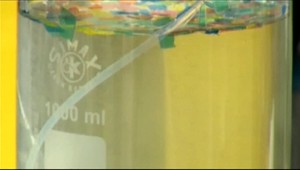 Plasty z oceánu miznú. Požierajú ich mikróby