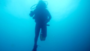 Zistenie vedcov. Mariánska priekopa je plná mikroorganizmov