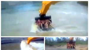 VIDEO. Tomuto sa povie aquapark po rusky!