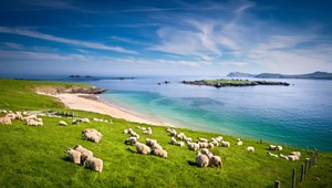 Írsko. Krajina jedinečnej zelenej farby, piva, pubov, tanca a keltskej histórie