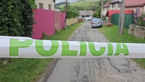 Muž mal zavraždiť vlastnú matku. Polícii sa priznal sám