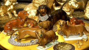 FOTO: V Bavorsku otvorili prvé múzeum jazvečíkov. Nájdete v ňom viac ako 4 500 exponátov