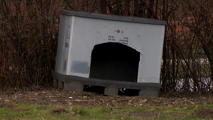 Obesil svojho ročného psa a dopichal ho nožom. Za nechutný čin hrozí obvinenému väzenie