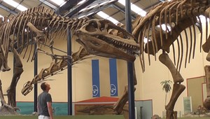 Na Slovensku mu grant odmietli, v zahraničí si vyberá. Slovenskí vedci nemajú dôvod na návrat