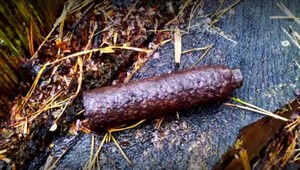 Desiatky rokov ich ohrozoval a nik o tom netušil. Mladík našiel v lese funkčný nemecký granát