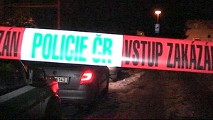 Násilník brutálne zbil svoju partnerku. Po niekoľkých hodinách zomrela