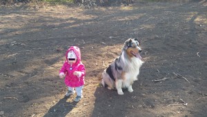 Stratil sa Jimmy, ktorý je nenahraditeľným členom rodiny. Pomôžte zúfalej rodine