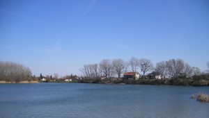 V Mŕtvom ramene Váhu sa premnožili sinice. Hygiena neodporúča kúpanie