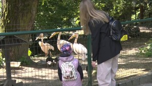 Bojnická ZOO ožila: Po dlhej pauze kvôli opatreniam privítala prvých návštevníkov