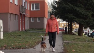 Psičkárku bezdôvodne udrel počas prechádzky neznámy mladík