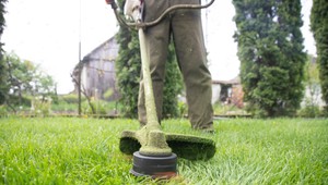 Netradičná iniciatíva: V tejto dedine nebudú celý máj kosiť