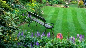 Sezóna kvetov je tu. Flora ponúka hotové skvosty