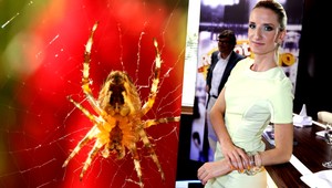 Celebritné fóbie. Dotyky od neznámych a hotelové izby...